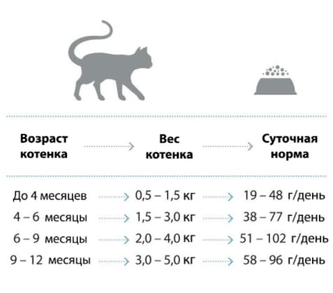 Нормы кормления (1).jpg